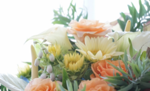 花 イメージ